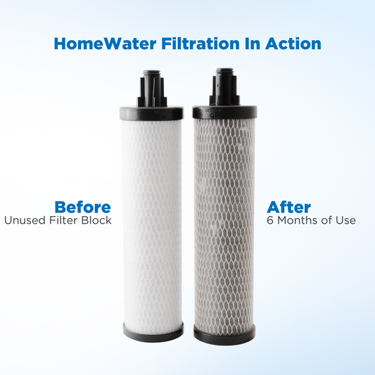 HomeWater EZChange Direct Connect Chlorine Filter (Mock)